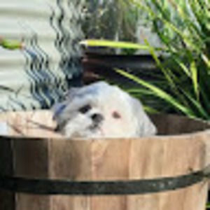 Meet your Posher, Michaela